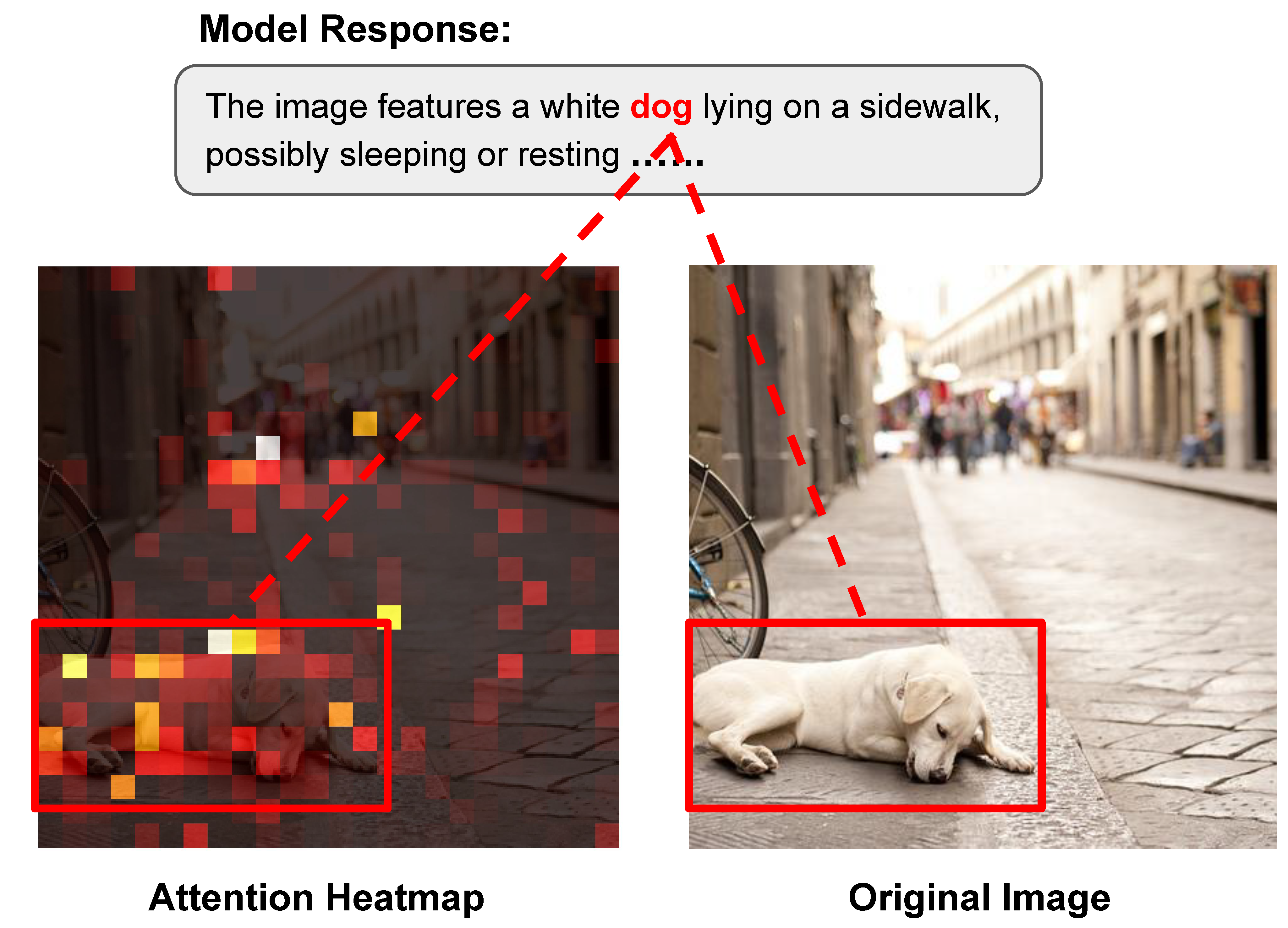 dog to image token attention heatmap